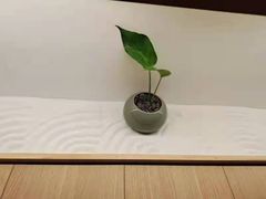 -常乐·对症推拿(嘉里中心第132分店)