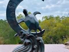-广东惠东海龟国家级自然保护区