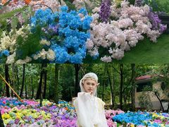 -洛阳白云山景区