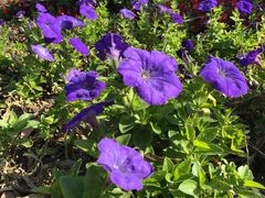 -漩门湾国家湿地公园