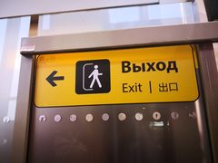 -谢列梅捷沃国际机场