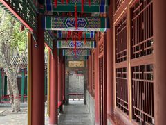 -荣国府