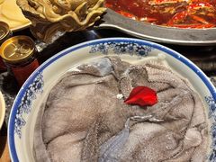 -蜀大侠火锅(总府路店)