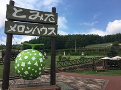 -富田农场