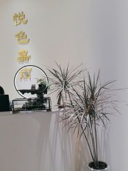 -悦色嘉丽科技美肤健康管理