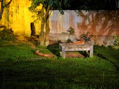 -清迈夜间动物园