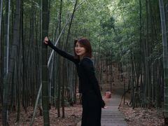 -藏龙百瀑风景区