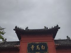 -洛阳白马寺
