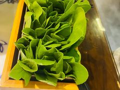 生烫鸡毛菜-卢大鲜鱼头捞饭(美利广场店)