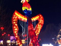 -南宫温泉水世界