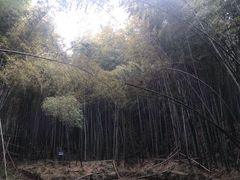 -石塘人家