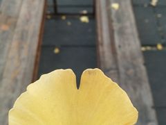 -辽宁大学(崇山校区)