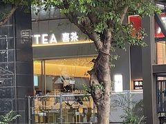 -喜茶(广州保利中环店)