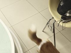 -怪兽屋·羊驼·猫咖·狗咖(俊华广场店)