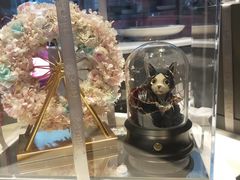 -喜鹊烤肉酒场(美乐城店)