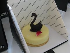 天鹅梦-BLACKSWAN黑天鹅(环球店)