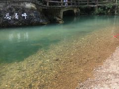 -华蓥山天意谷景区