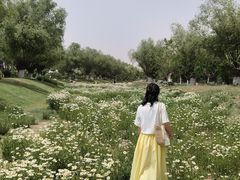 -汉长安城未央宫国家考古遗址公园