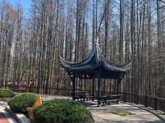 -青山湖景区