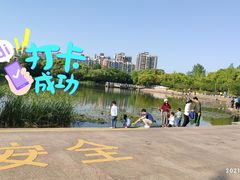 -新江湾城公园