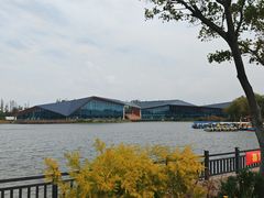 -上海长兴岛郊野公园