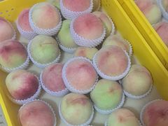 -老袁家蜜桃农场·阳山水蜜桃