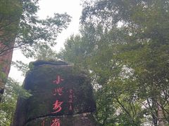 -汤旺河林海奇石景区