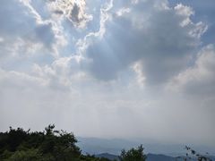 -鲁山国家森林公园