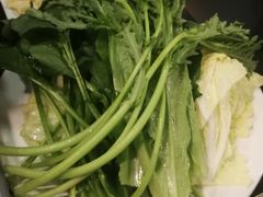 -筋头巴脑牛一锅(朝阳路总店)