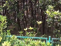 -深圳湾公园(南山区)