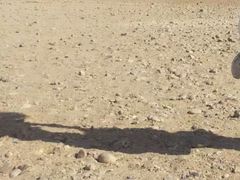-迪拜沙漠冲沙
