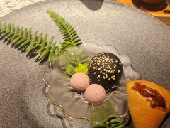 -叶叶菩提(太原别墅店)