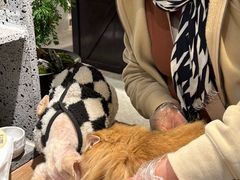 -自由生长植物工作室(深港花卉中心店)