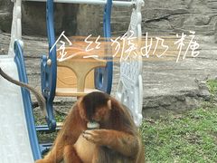 -大连森林动物园