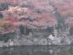 -何园