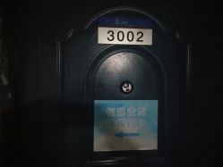 -柯琳造型