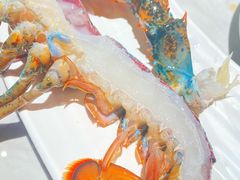 -雍容荟帝王蟹活龙虾展台自助(IFS黑金店)
