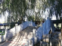 -大兴世界月季主题园