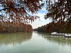 -上海海湾国家森林公园