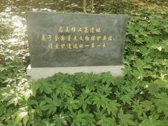 -马王堆汉墓遗址