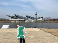 -盐城丹顶鹤湿地生态旅游区