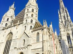-斯蒂芬主教座堂(Stephansdom)