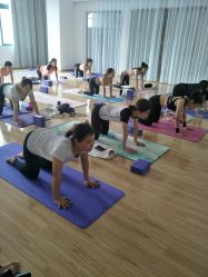 -亚太瑜伽普拉提学院