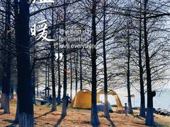 -苏州东太湖生态园