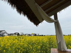 -桤木河湿地公园