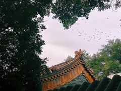 -黄瓦增福财神庙