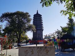 -高尔山公园