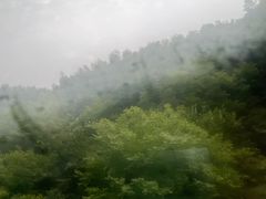 -江南天池