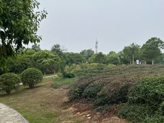 -南京市江宁方山