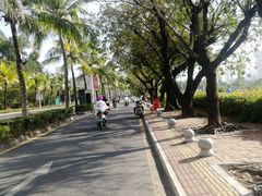 -金鸡岭桥头公园